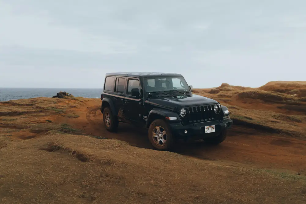 Jeep Wrangler segunda mano